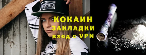 гидра Киренск