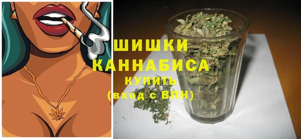 гидра Киренск