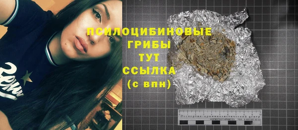 гидра Киренск