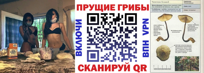 Псилоцибиновые грибы GOLDEN TEACHER  Купить где  Ипатово 